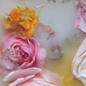 Flowers in ice, spring in yellow and pink
