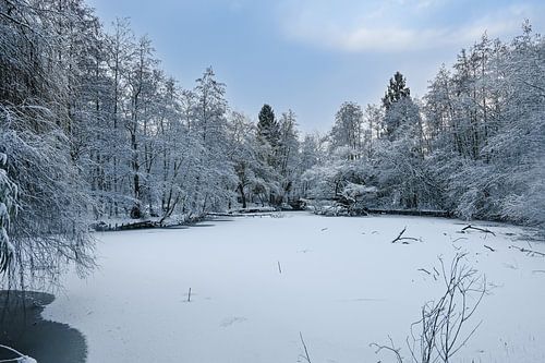 Bevroren Vijver in het Rivierenhof (Antwerpen)