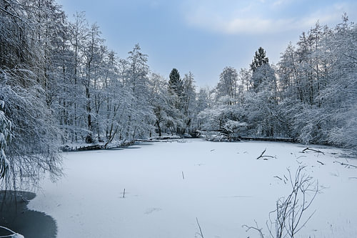 Bevroren Vijver in het Rivierenhof (Antwerpen)