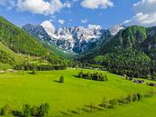 Zgornje Jezersko vallei in Slovenië van boven gezien in de lente van Sjoerd van der Wal Fotografie thumbnail