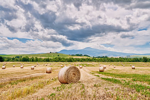 Italien Toskana Strohballen auf dem Lande