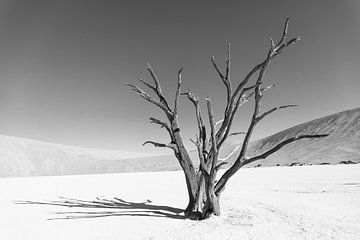 Eenzame boom in Deadvlei in zwartwit (1) van Lennart Verheuvel