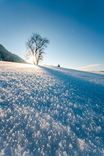 Sneeuwkristallen en winterse magie in Allgäu