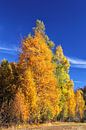 Herbstlandschaft im Allgäu von Dirk Rüter Miniaturansicht