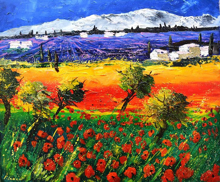 Rode klaprozen en lavendel van pol ledent
