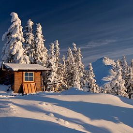 Cabane romantique avec le Grießenkareck en toile de fond sur Christa Kramer