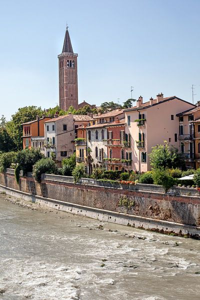 Vérone - Vue sur l'Adige et l'église de San Giorgetto ou San Pietro Martire par t.ART