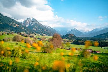 Vue fleurie sur les Alpes d'Allgäu sur Leo Schindzielorz