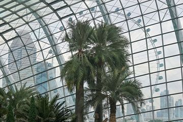 Palm trees and Singapore's city silhouette