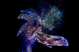 SAMENVATTING : FINANCIËN - VAARWEL KUNA van Photoart-Naegele