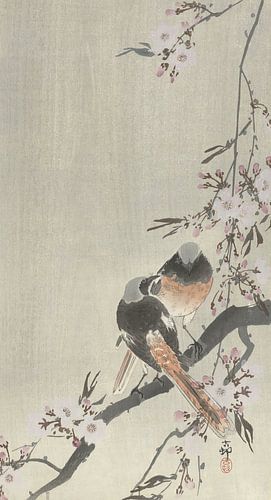 Ohara Koson - Zwei belagerte Rotschwänze mit Kirschblüte (bearbeitet)