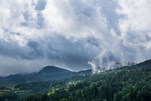 Nevel over bergen van zwart woud met zon en regenwolk