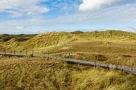 Landschaft in den Dünen auf der Insel Amrum van Rico Ködder thumbnail