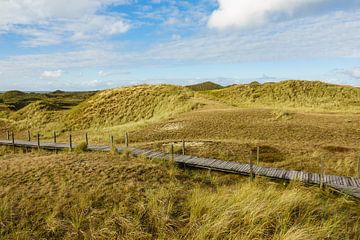 Landscape in the dunes of the North Sea island Amrum