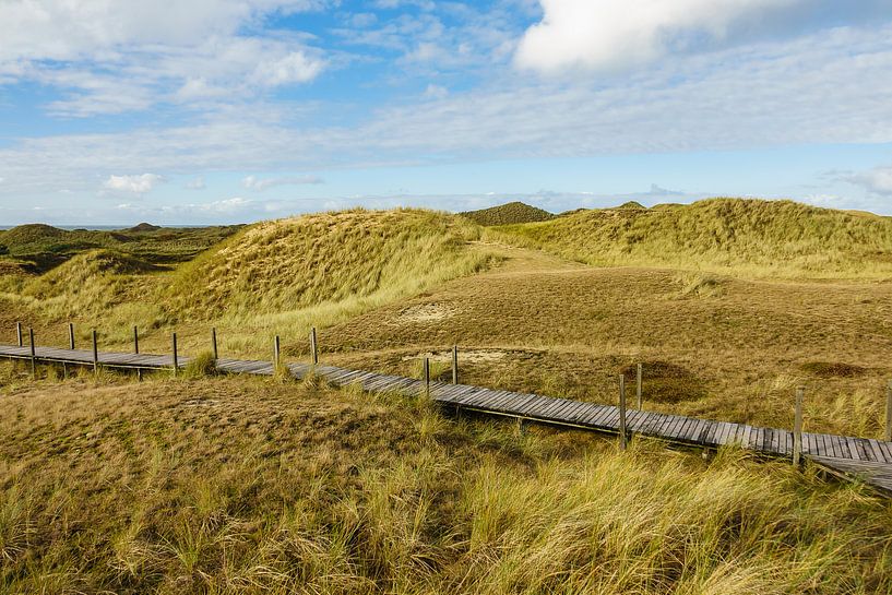 Landschaft in den Dünen auf der Insel Amrum van Rico Ködder