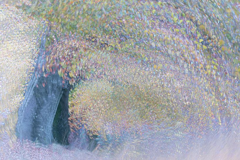 Pastell-Impressionen von Pauline Rote