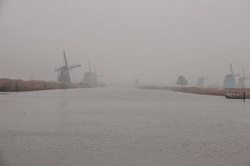 Windmolens in de mist aan de Kinderdijk