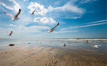 Plage de la mer du Nord près de Katwijk