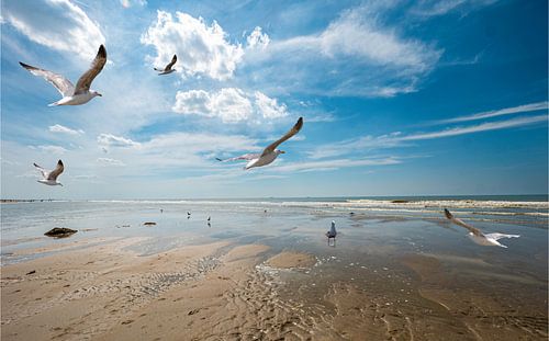 Noordzeestrand bij Katwijk