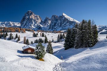 Panorama automnal sur l'Alpe de Siusi, Tyrol du Sud sur Achim Thomae Photography