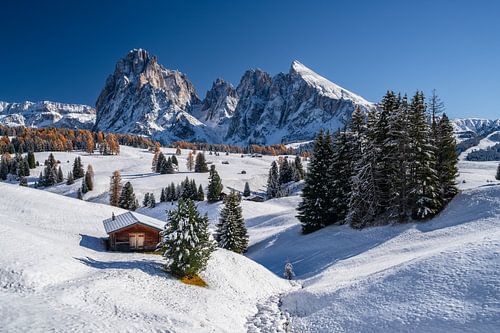 Panorama automnal sur l'Alpe de Siusi, Tyrol du Sud
