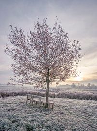 Sonnenaufgang im Winter