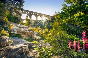 Pont Du Gard by Voss photography
