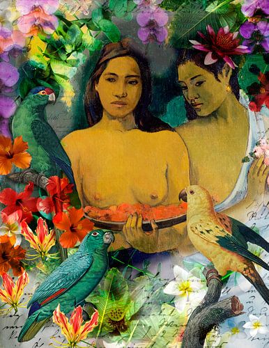 The feeding of the parrots by christine b-b müller