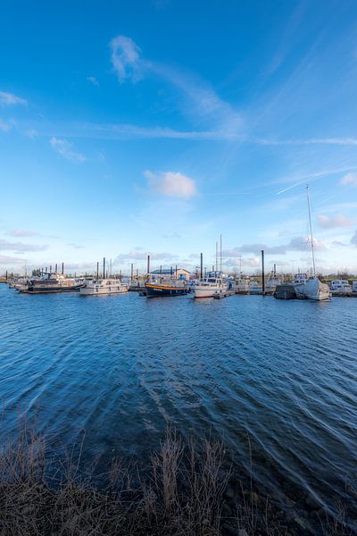 Haven par Moetwil en van Dijk - Fotografie