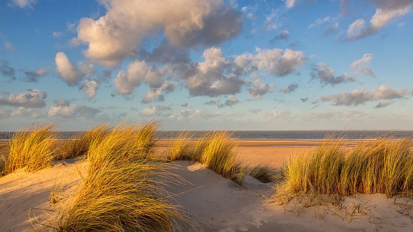 Dunes, beach, sea and clouds by Bram van Broekhoven