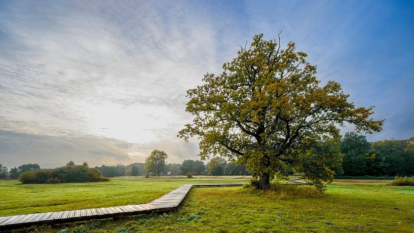 Stream valley near Renkum by Peter Bartelings