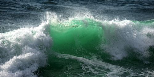 Natuurkrachten II - Schaal 1:2