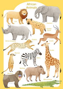 Animals of Africa by Judith Loske