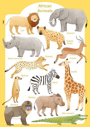 Animals of Africa by Judith Loske