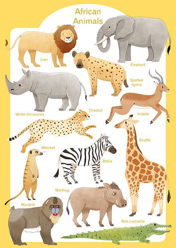 Animaux d'Afrique sur Judith Loske