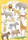 Animals of Africa by Judith Loske thumbnail