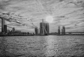 Erasmusbrug Rotterdam in Zwart wit by Brian Morgan