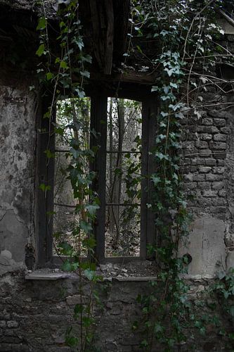 FORT DE LA CHARTREUSE URBEX