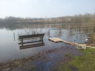 Overstroomde visvijver