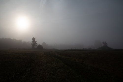 Wandelen in het Mystieke Licht