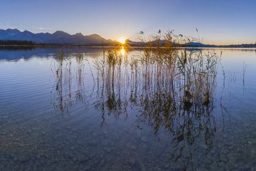 Zonsondergang aan de Hopfensee van Walter G. Allgöwer