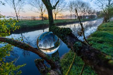 Zonsopgang in de glazen bol van Joel Layaa-Laulhé