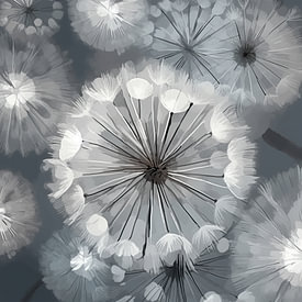 Floral Abstractions photo de profil