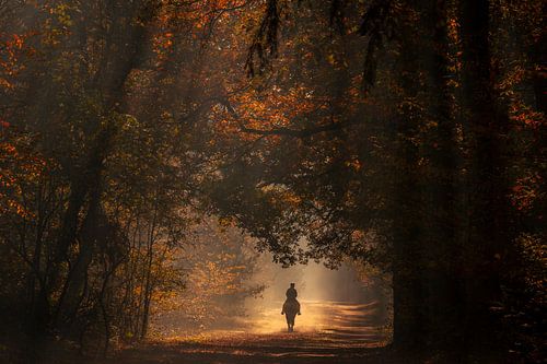Horse riding autumn morning