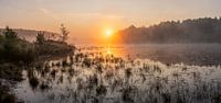 goldener Sonnenaufgang über dem Teich in den Bieren von Limburg, Belgien.
