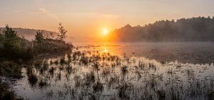 gouden zonsopkomst boven de vijver in de wijers te Limburg, Belgie.