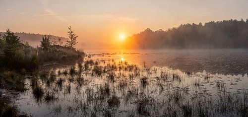 gouden zonsopkomst boven de vijver in de wijers te Limburg, Belgie.