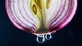 Detaillierte Nahaufnahme einer frischen Zwiebelscheibe