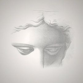 Femininity a Portrait in Grey by Mad Dog Art