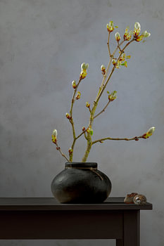 Nature morte "Châtaigne en bouton".